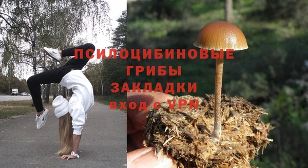 эйфоретик Ростов
