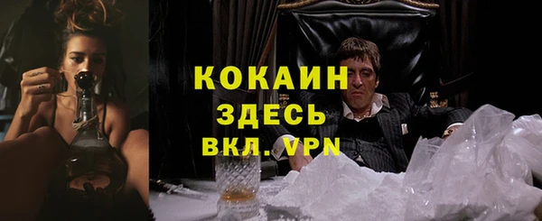 дживик Баксан