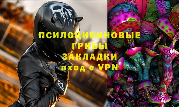 дживик Баксан