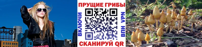 маркетплейс состав  Озёрск  Галлюциногенные грибы Psilocybine cubensis 
